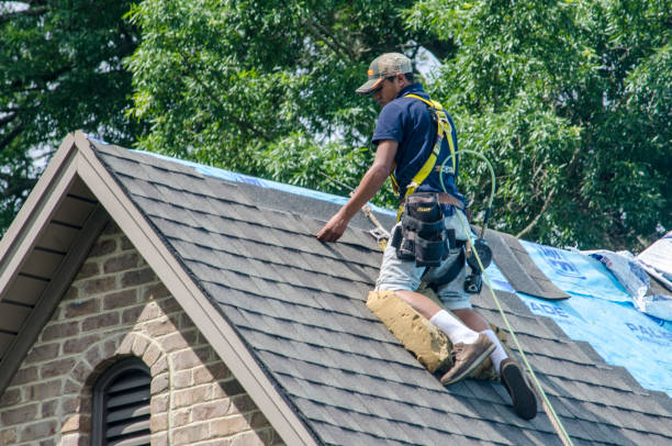 Best New Roof Installation  in Anacortes, WA